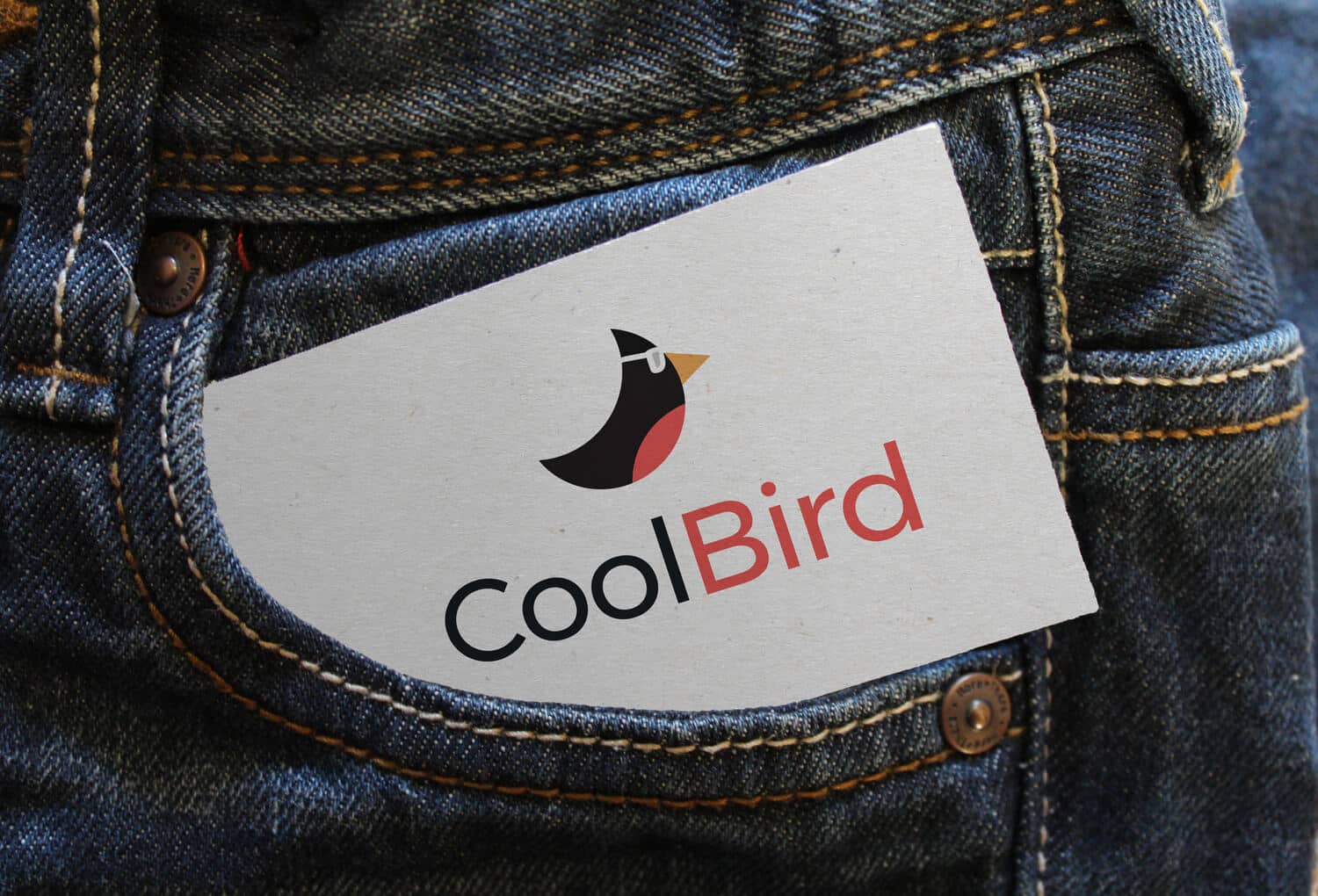 CoolBird - modern, clean, kleurrijk logo ontwerp