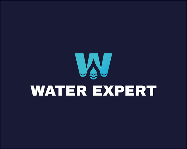 modern water logo design