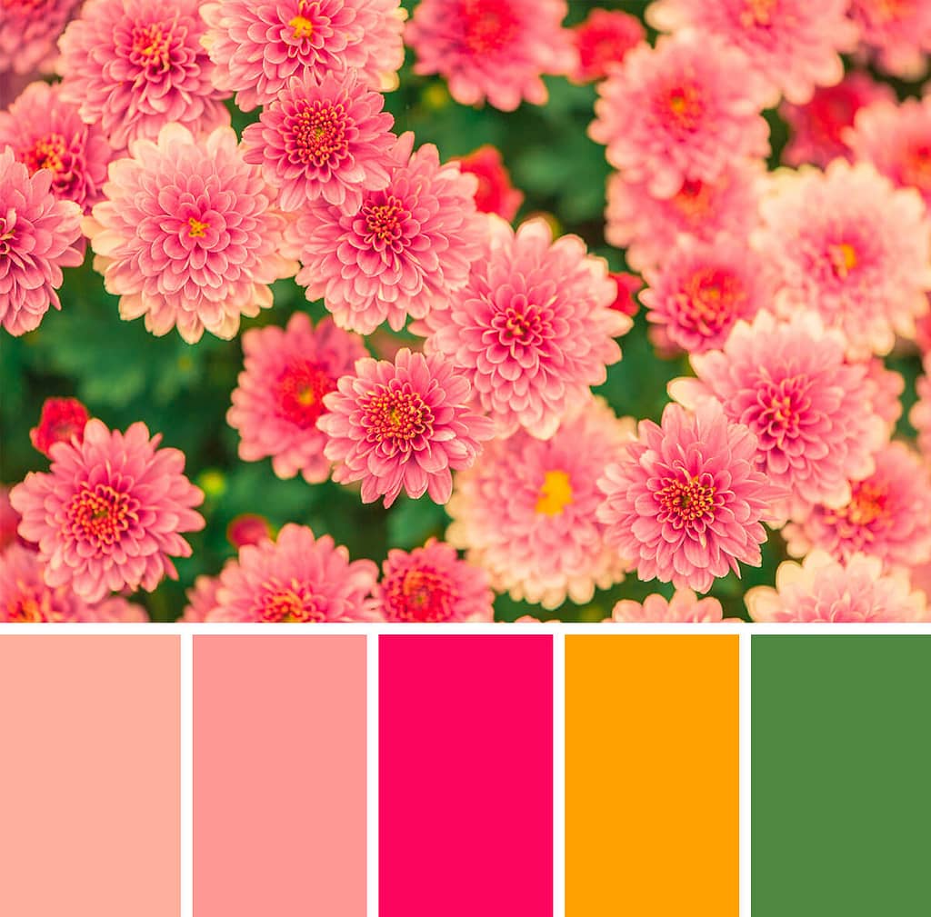 kleurenschema: bloemen
