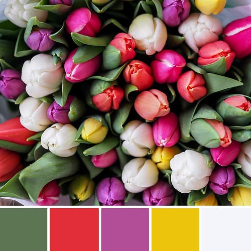 kleureninspiratie uit de natuur - tulpen